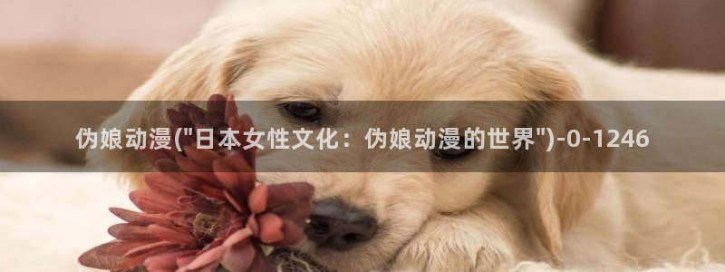 胸部动漫：伪娘动漫(\