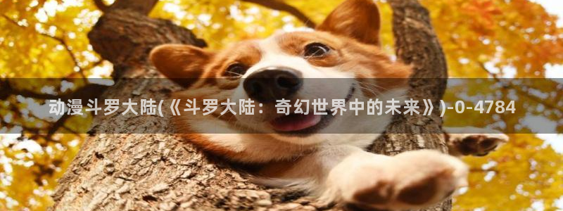 成人动漫电影：动漫斗罗大陆(《斗罗大陆：奇幻世界中的未来》)