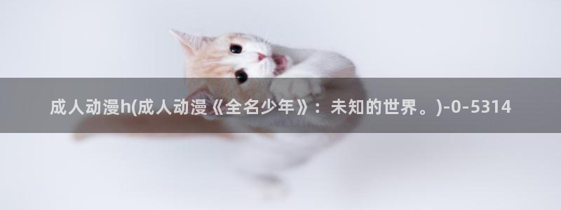 妖精动漫：成人动漫h(成人动漫《全名少年》：未知的世界。)