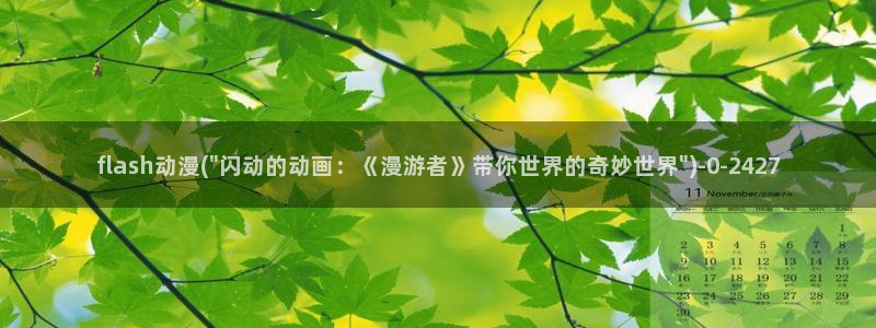 动漫免费观看：flash动漫(\