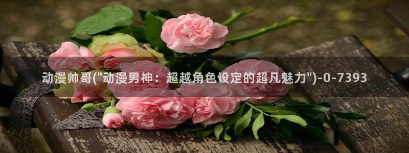 便当动漫：动漫帅哥(\