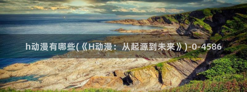 91动漫：h动漫有哪些(《H动漫：从起源到未来》)