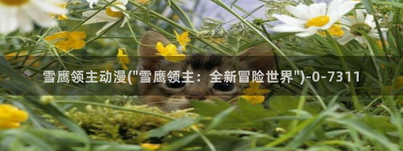 动漫小说：雪鹰领主动漫(\