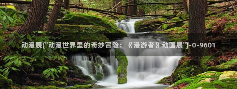 卡通动漫：动漫展(\
