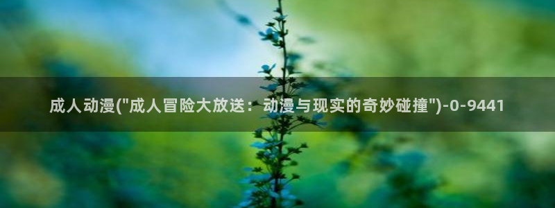 黑猫动漫
